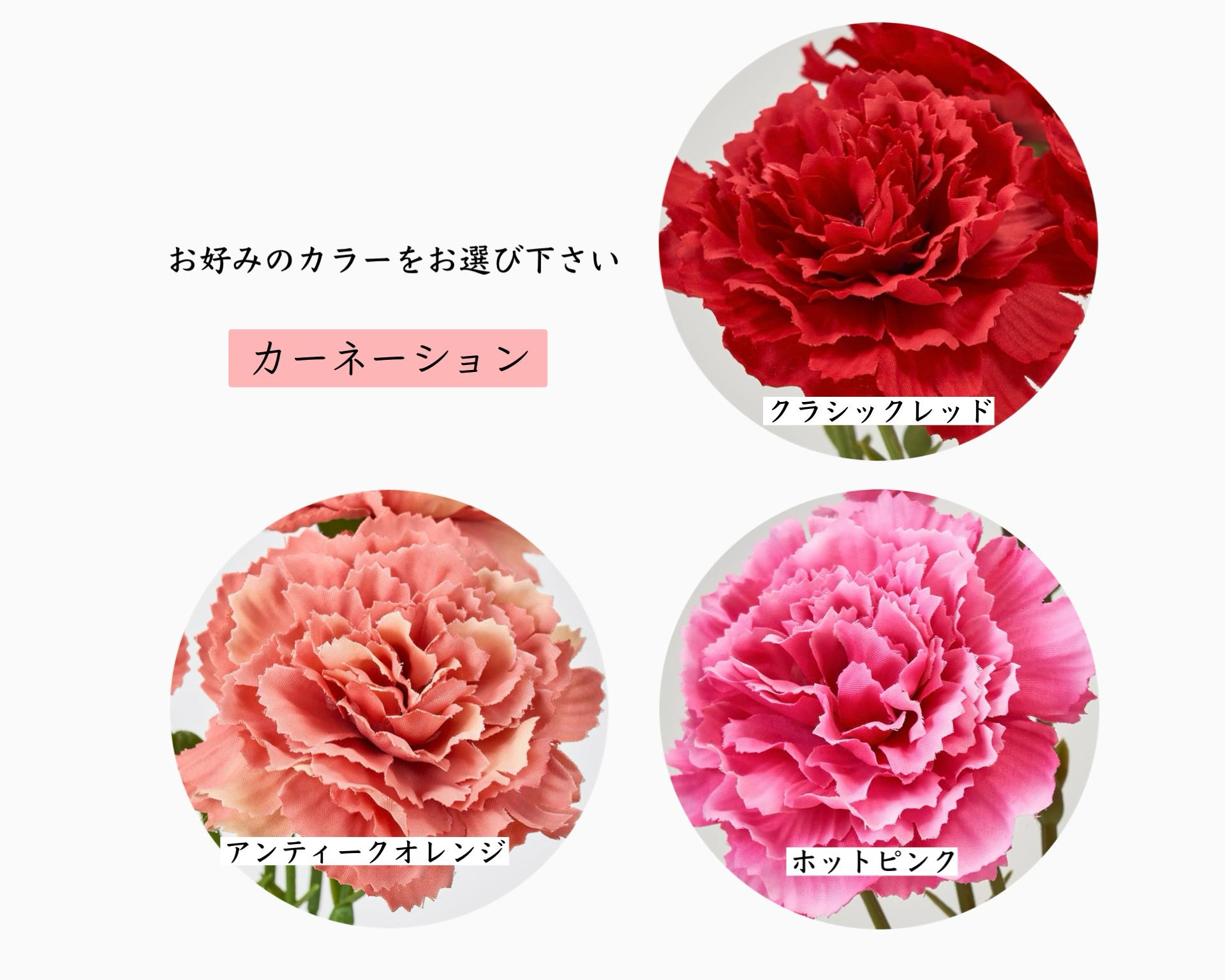 新作《母の日早割》 ［お花と珈琲の贈り物］選べるAnimalsフラワー/メッセージドリップ5個～ | 10枚目